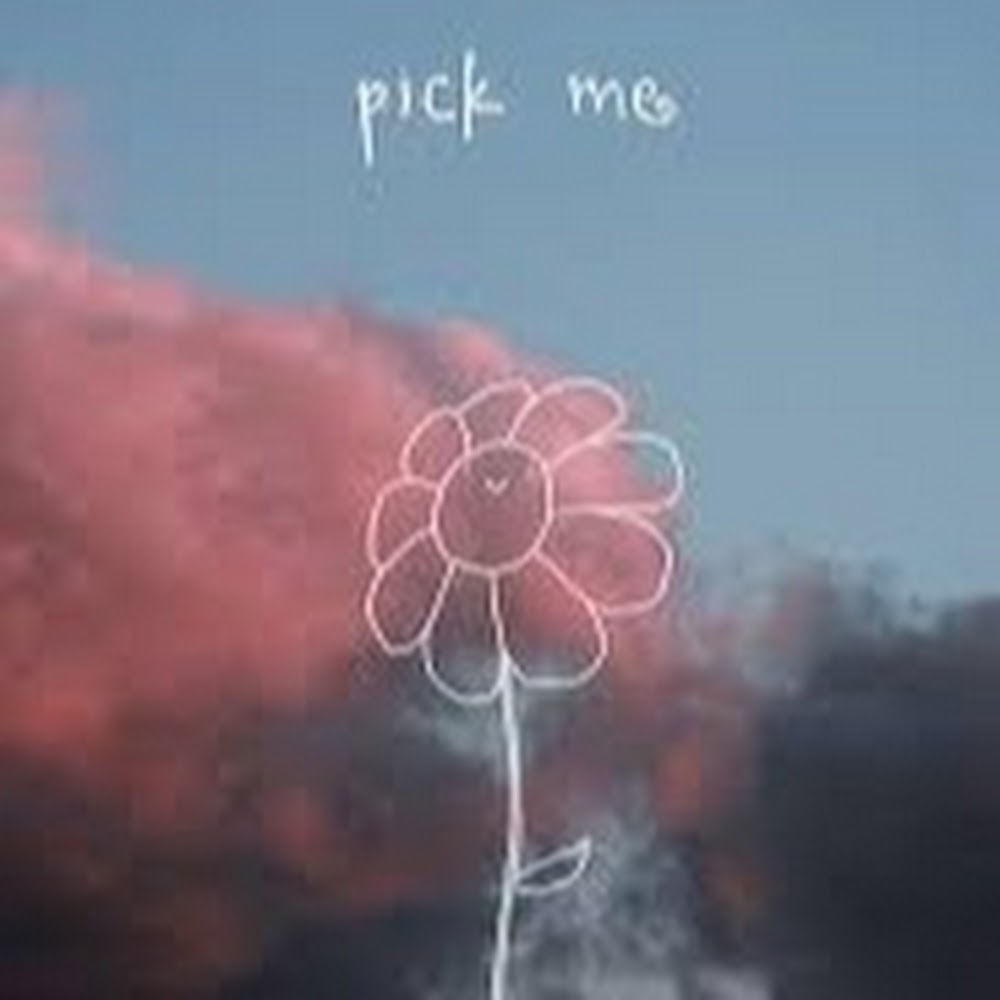 Meet your Posher, Piper